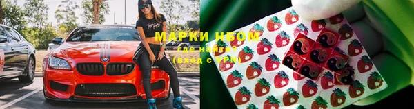 шишки Дмитровск