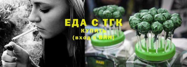 твердый Гусев