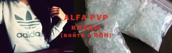 шишки Дмитровск