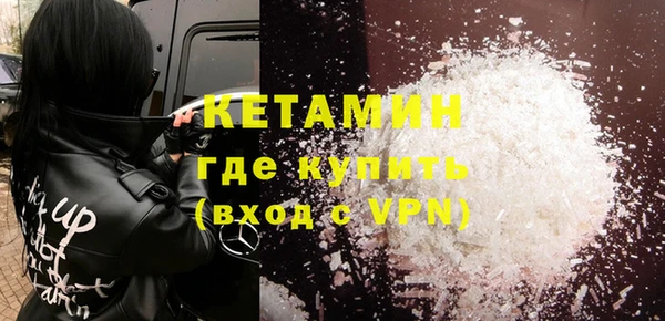 шишки Дмитровск