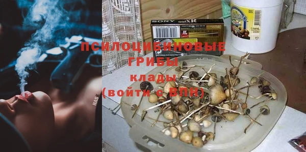 COCAINE Гусь-Хрустальный