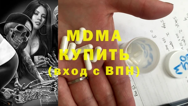 твердый Гусев