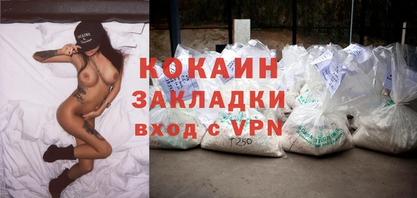 твердый Гусев