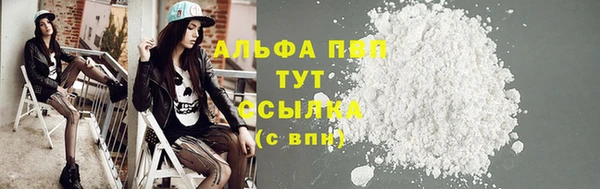 шишки Дмитровск